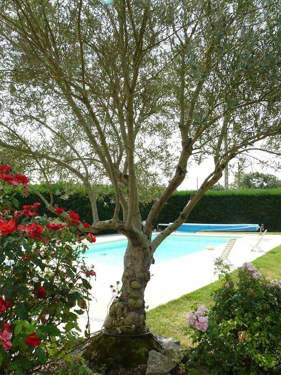 Montreuil  Le Clos De La Vigne מראה חיצוני תמונה